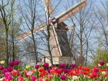 Entry to Keukenhof and Return Transfer Entry to Keukenhof and Return Transfer