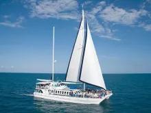 Wavedancer Low Isles Reef Cruise from Cairns Wavedancer Low Isles Reef Cruise from Cairns