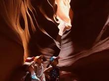 antelope1