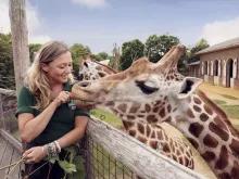 Feeding Giraffes at London Zoo