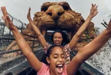 Tiger Rock at Chessington World of Adventures Ticket