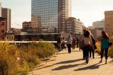 Highlights of the High Line