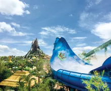 Volcano Bay Honu