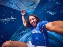 Shark Attack water slide at Aquaventure Dubai