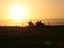 Golden Circle and Horse Riding