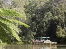 Classic Kuranda Classic Kuranda