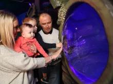 SEA LIFE Blackpool Aquarium