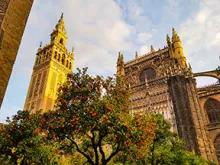 Seville-cathederal