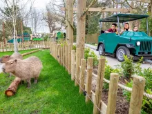 jungle-rangers-at-chessington