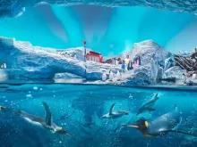 SeaWorld Yas Island Abu Dhabi SeaWorld Yas Island Abu Dhabi