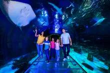 Family at the Sea Life Orlando Aquarium