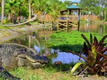 Wild Florida Adventure Package Wild Florida Adventure Package