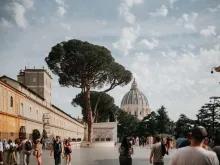 Vatican Express