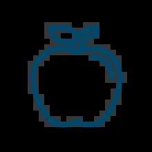 An icon of an apple