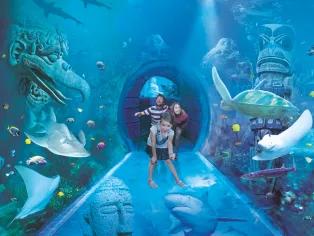 SEA LIFE Orlando Admission Ticket