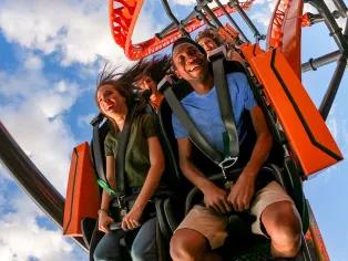 Tigris at Busch Gardens Tampa Bay
