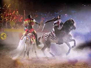 Medieval Times Orlando Dinner Show & Tournament