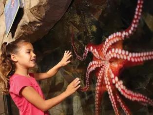 girl-next-to-octopus