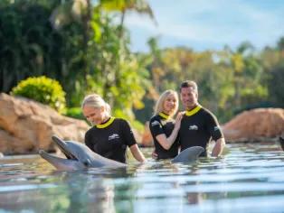 Family interacting with a dolphin at Discovery Cove Orlando