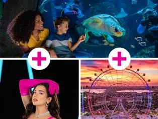 Save 35% on Icon Park Attractions