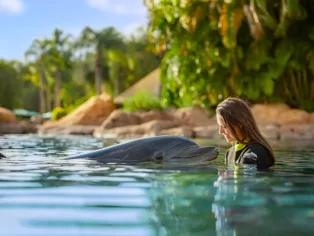 Woman interacting with dolphin at Discovery Cove