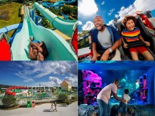 4 attractions in 1 exciting day