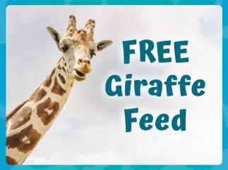 Free Giraffe Feed Included with all Wild Florida Drive Thru Safari tickets purchased with AttractionTickets.com