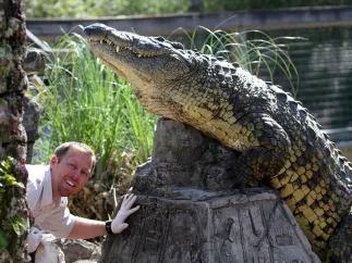 Kostenloses Gator Chow mit Gatorland Tickets