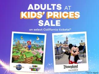 Disneyland Resort & Universal Studios Hollywood Sale