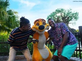 Disney Adults Disney Adults