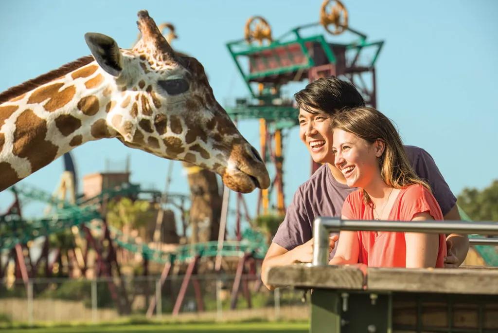 Couple enjoying Serengeti Safari at Busch Gardens