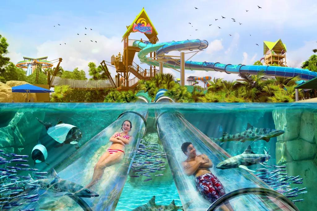Reef Plunge - Aquatica Orlando Concept art of two guests on the Reef Plunge slide going underwater