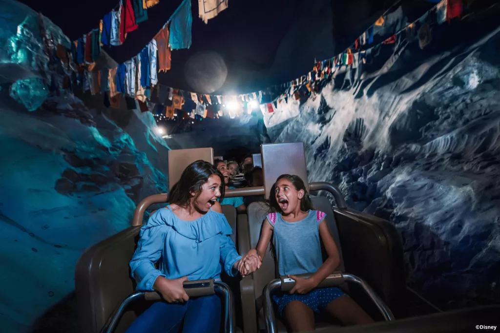 Expedition Everest Two kids screaming while riding Expedition Everest in the dark