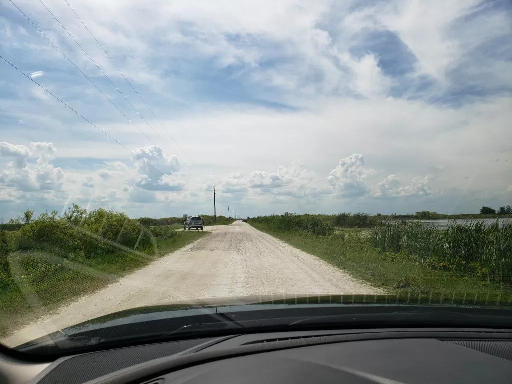 Lake Apopka Wildlife Drive View of Lak Apopka Wildlife Drive through the windshield of a car