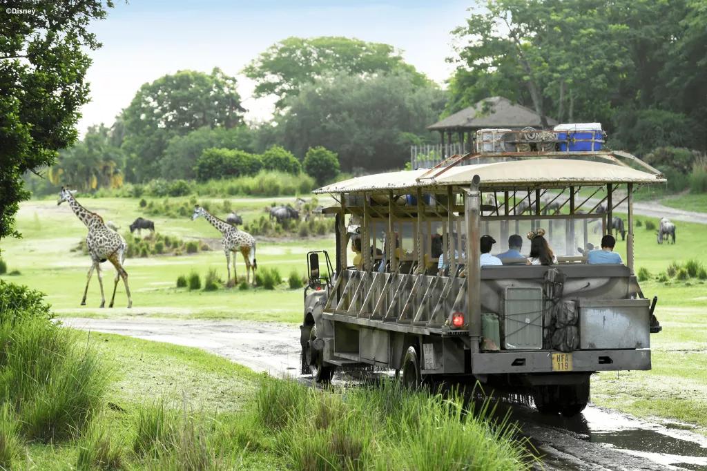 Kilimanjaro Safari A safari truck driving towards a herd of giraffe on the Kilimanjaro Safari
