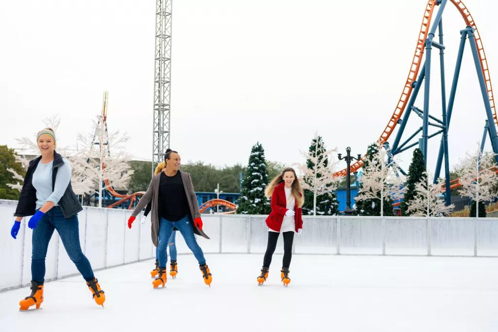 Ice Skating at SeaWorld 4 adults ice skating outdoors in front of a rollercoaster