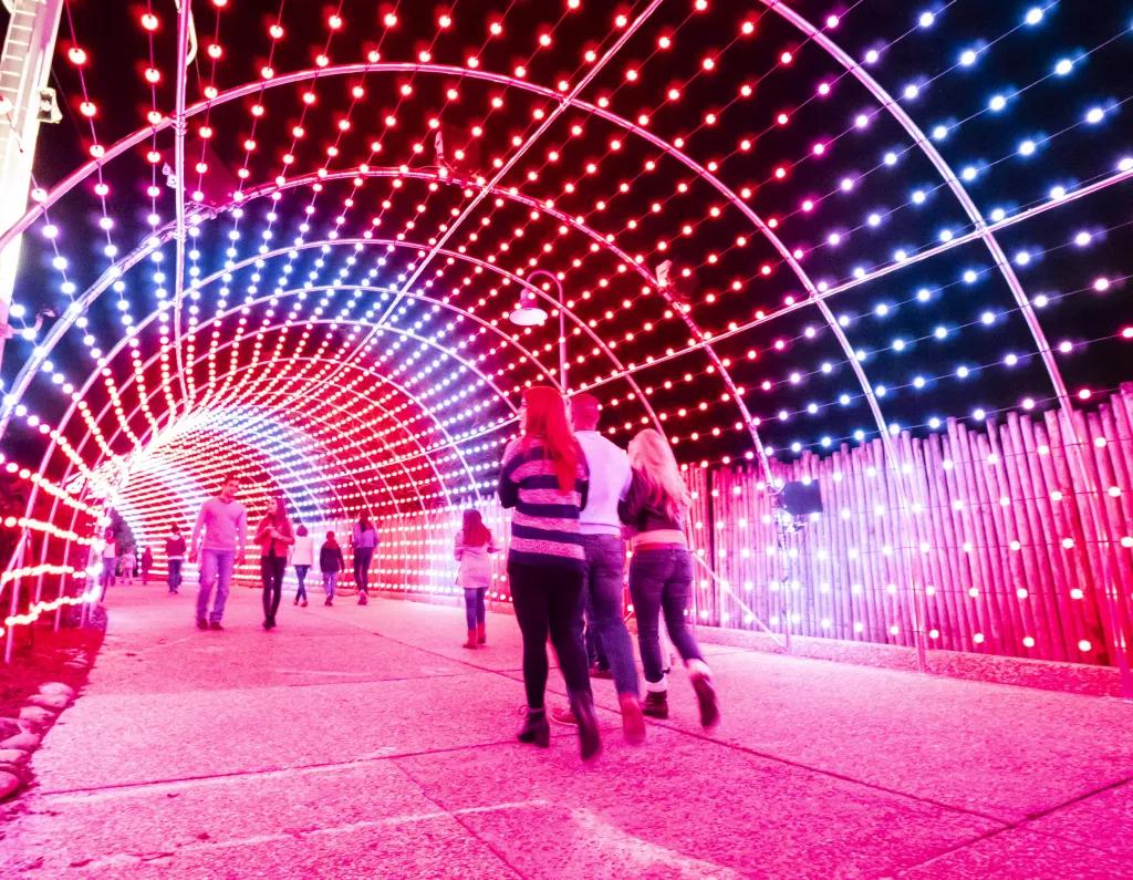 Christmas Town at Busch Gardens A crowd of people walking away from the camera through a tunnel lit by multi-coloured LEDs