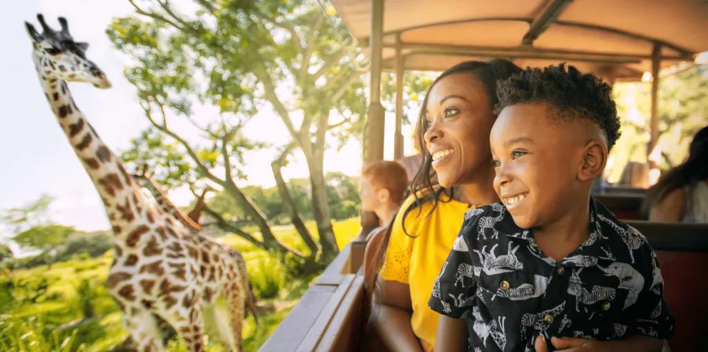 Gäste auf Safari in Disney's Animal Kingdom Themenpark