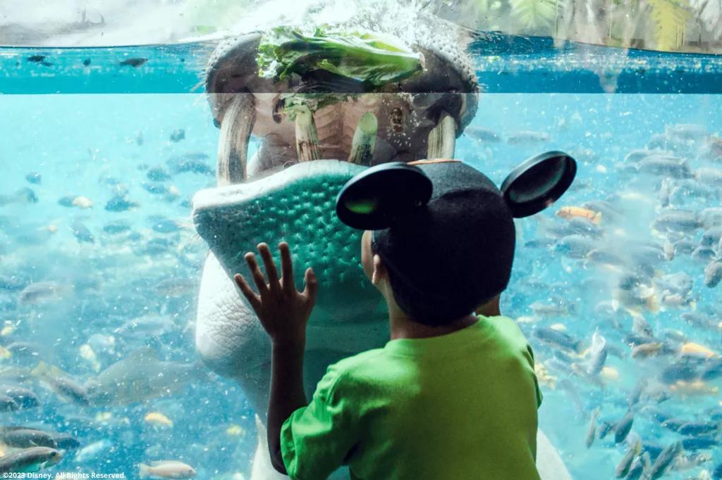 Kind im Disney's Animal Kingdom Themenpark Kind im Disney's Animal Kingdom Themenpark