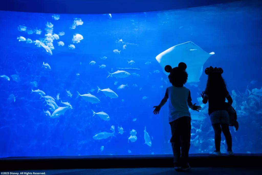 Kinder in EPCOT bestaunen ein Aquarium Kinder in EPCOT bestaunen ein Aquarium