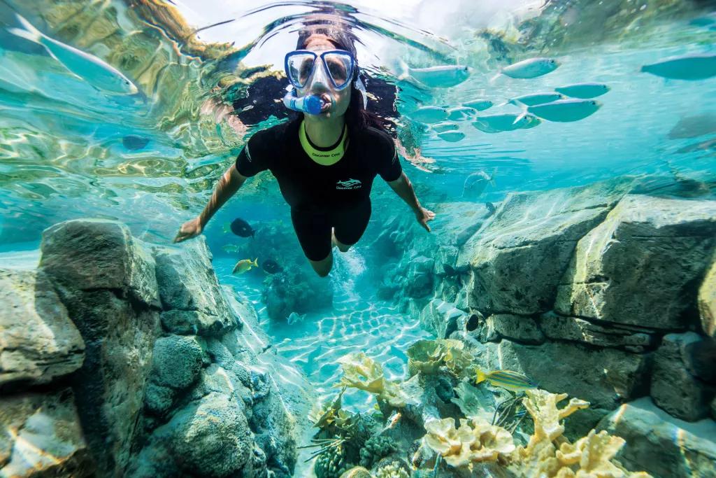 Snorkelling at Discovery Cove A woman in a wetsuit snorkelling in clear blue water above coral reefs