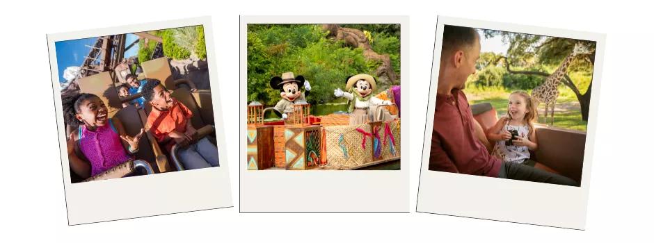 Disney's Animal Kingdom Theme Park Three polaroid pictures showing people on a rollercoaster, Mickey and Minnie on a boat and a girl on a safari seeing a giraffe