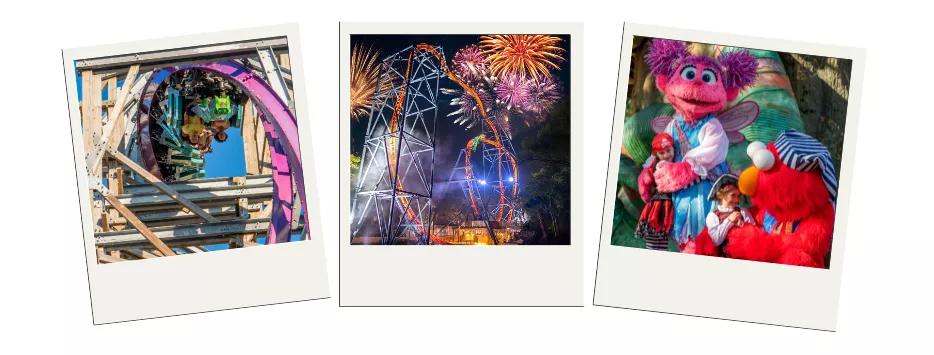 Busch Gardens Tampa Bay Three polaroid pictures showing two rollercoasters and young children meeting Sesame Street characters