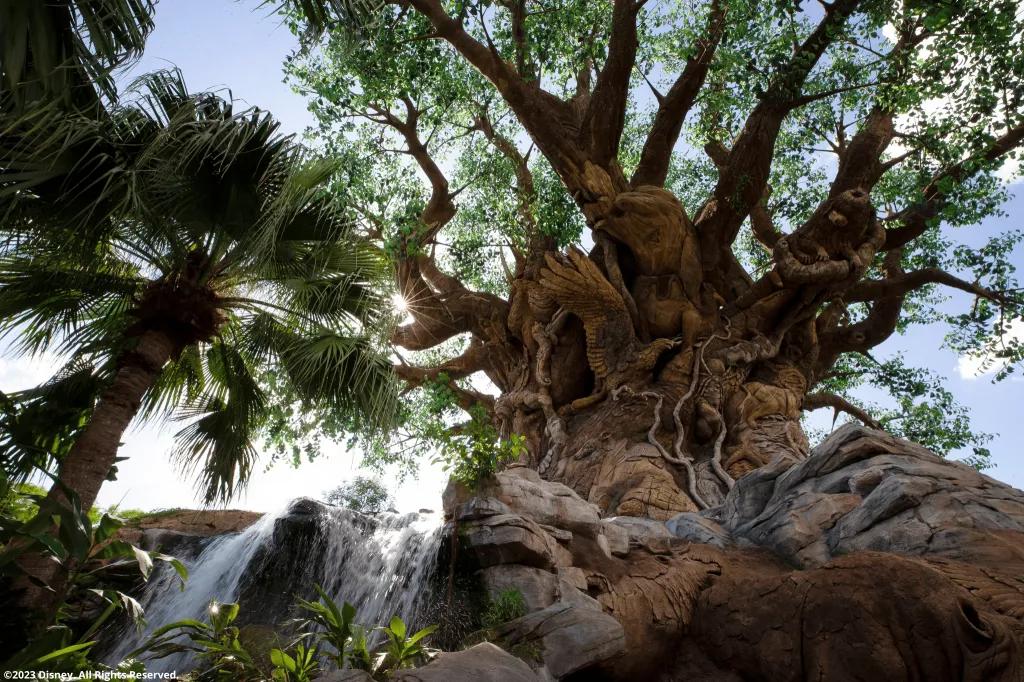 Der Tree of Life in Disney's Animal Kingdom Der Tree of Life in Disney's Animal Kingdom