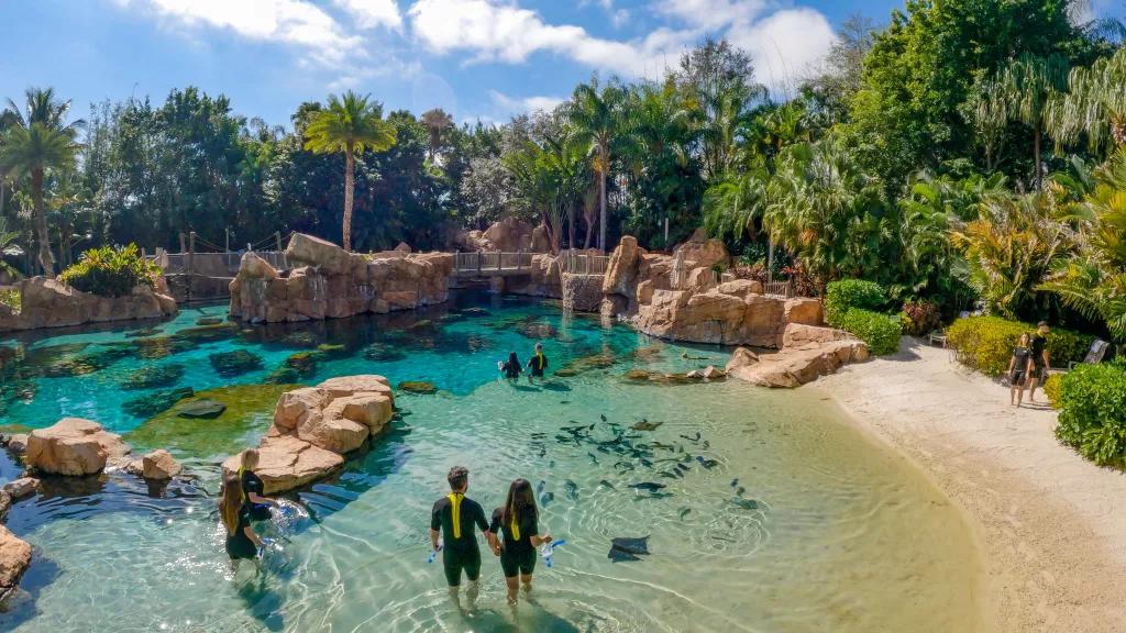 Discovery Cove A birds-eye view of the lagoon at Discovery Cove with people in wetsuits walking in from the beach