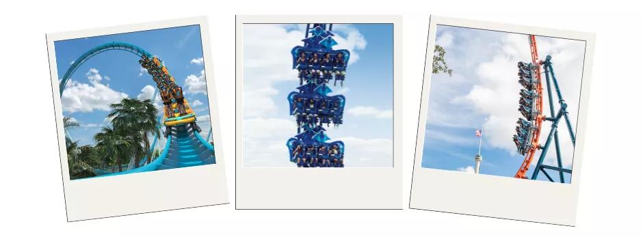 SeaWorld Orlando Three polaroid images showing three rollercoasters