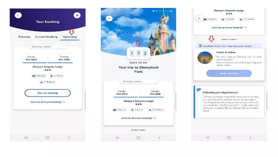 Screenshot of steps on Disneyland Paris app A screenshot on a phone of the Disneyland Paris App
