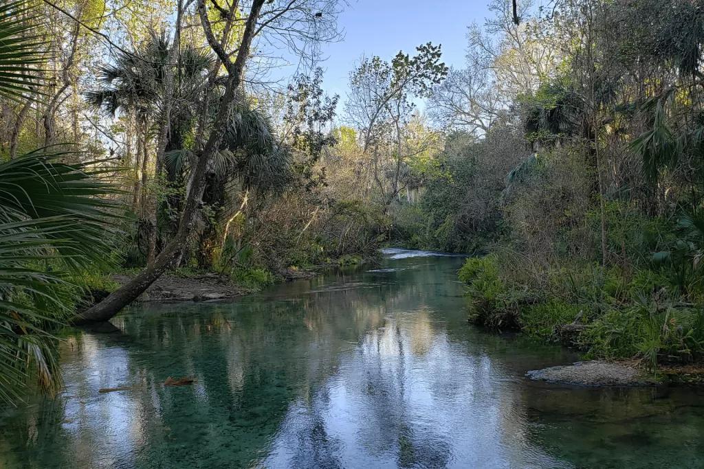 Kelly Park A waterway surrounded by large trees and greenery