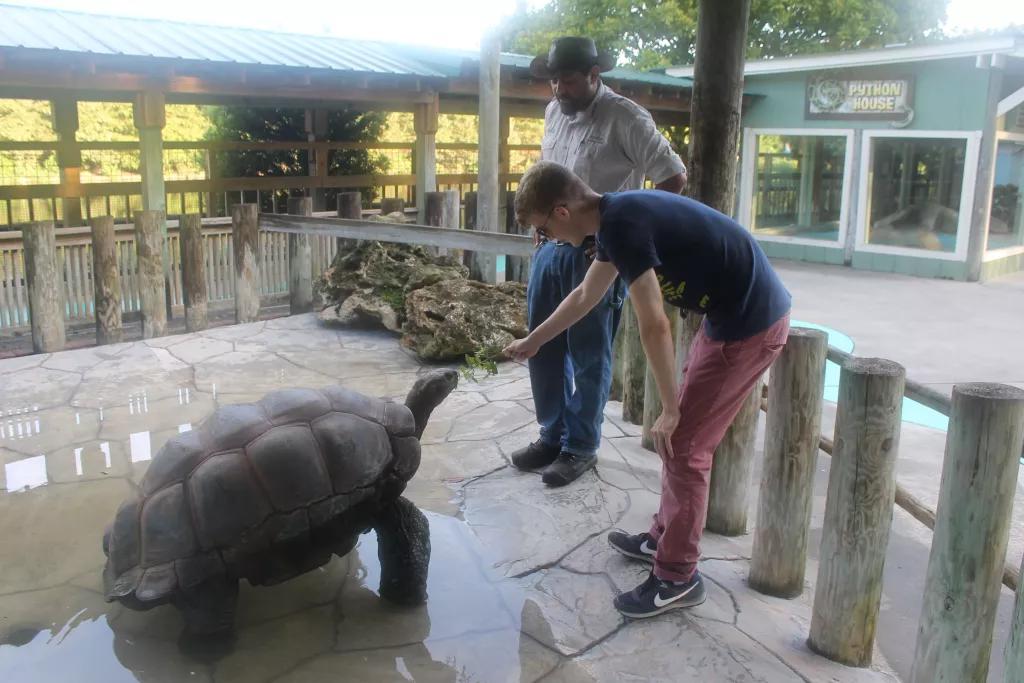guest with tortoise guest with tortoise