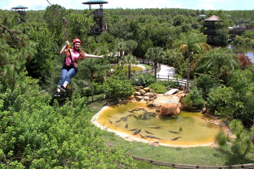 Screamin' Gator Zip Line A woman on in a helmet hanging from a zipline above a pool of alligators